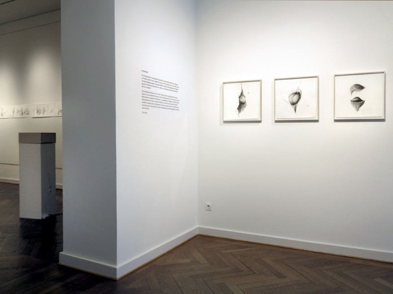 Galerie Saalbau - Alice Baillaud - En Passant