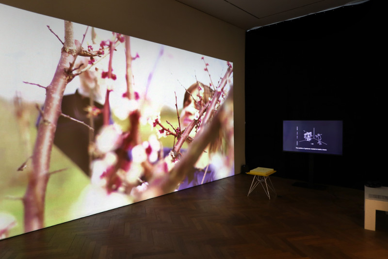 Dunkle Raumansicht. An der Wand wird ein Bild (Filmausschnitt) vom Beamer projeziert. Im Raum steht eine Bank, ein Metalltisch und ein Fernseher.