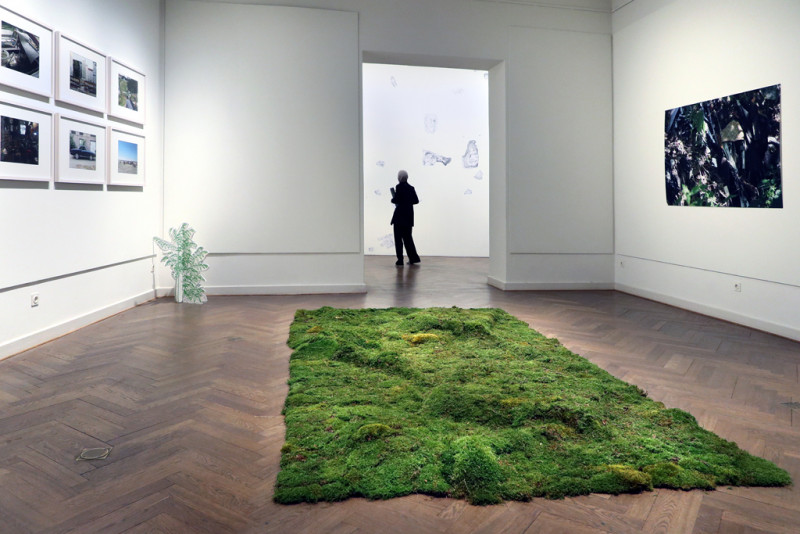 Moss carpet in the foreground by Ingeborg Lockemann and photographs on the left by Birgit Schlieps