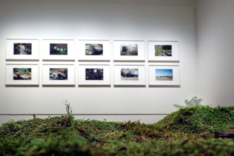 Moss in the foreground by Ingeborg Lockemann and photographs by Birgit Schlieps in the background