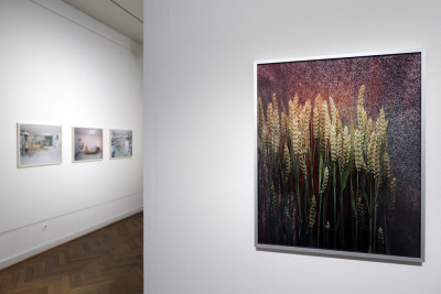 Pigmentdruck, Erforschung des Wachstums von Getreide im Weltraum, in metallic-silbernen Bilderrahmen. Zu sehen sind Ähren vor einem abstrakt lilafarbenen Hintergrund.