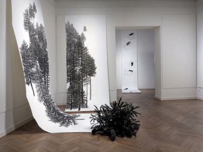 Helena Hernández – Crossing the Line