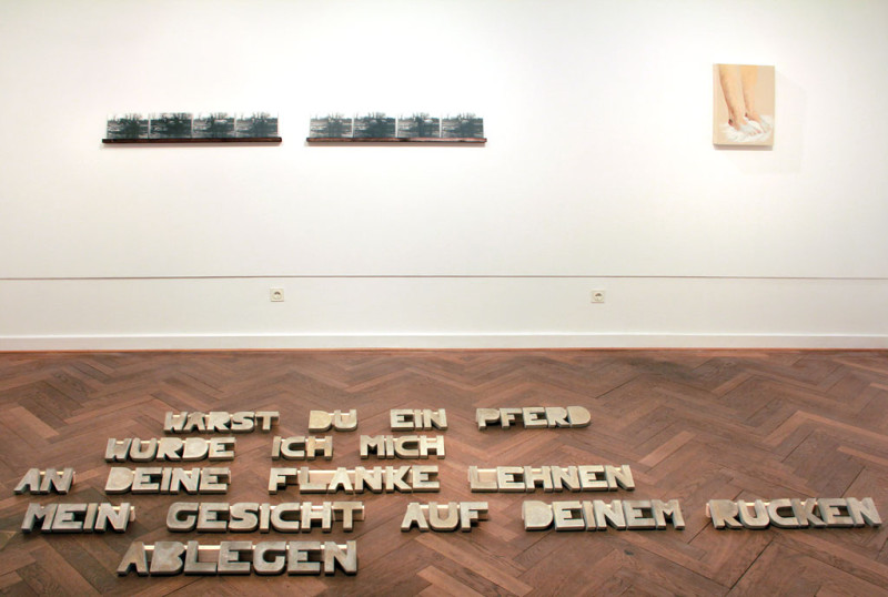 Lena Ader – Wärst du ein Pferd..., 2016,