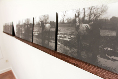 Lena Ader - If you were a horse...,2016