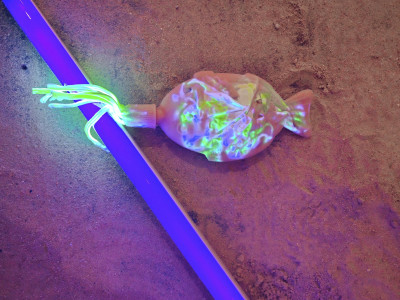 Detailed view of a neon-coloured fish made of silicone, epoxy resin and cables.