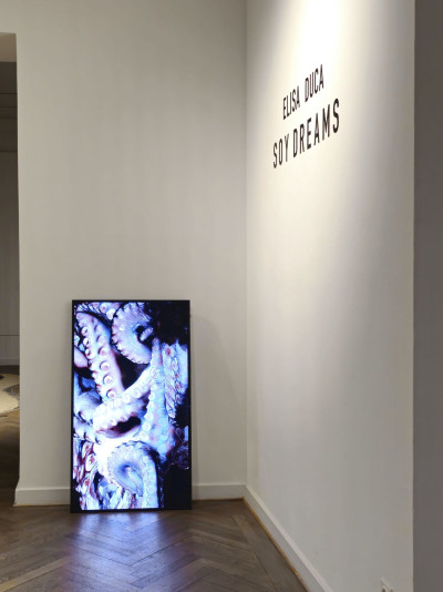 In the foreground is one monitor with a video work