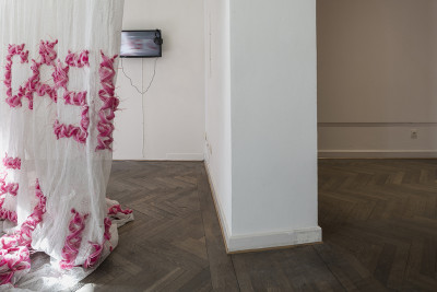 A dust net hangs on the left side of the picture, behind which a screen can be seen.