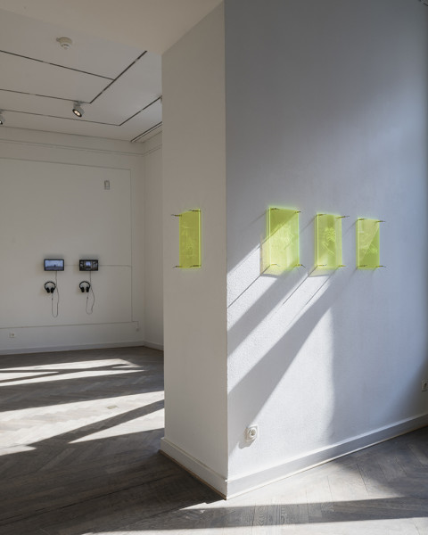 Image for Finissage + Guided Tour